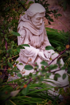 Francis in the Garden